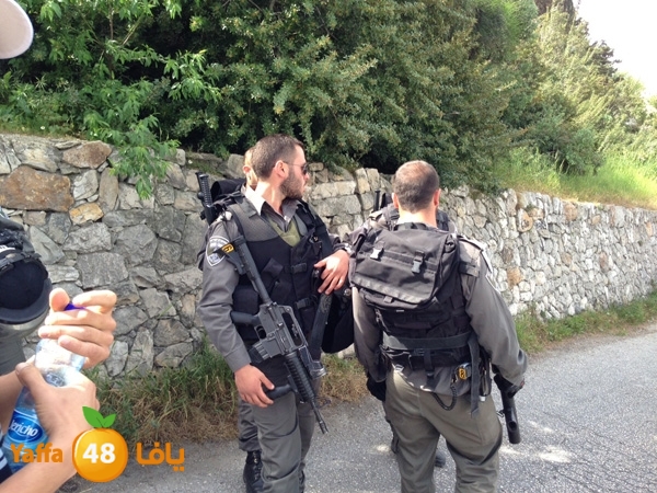 qudszra3aztoon330 (20).JPG